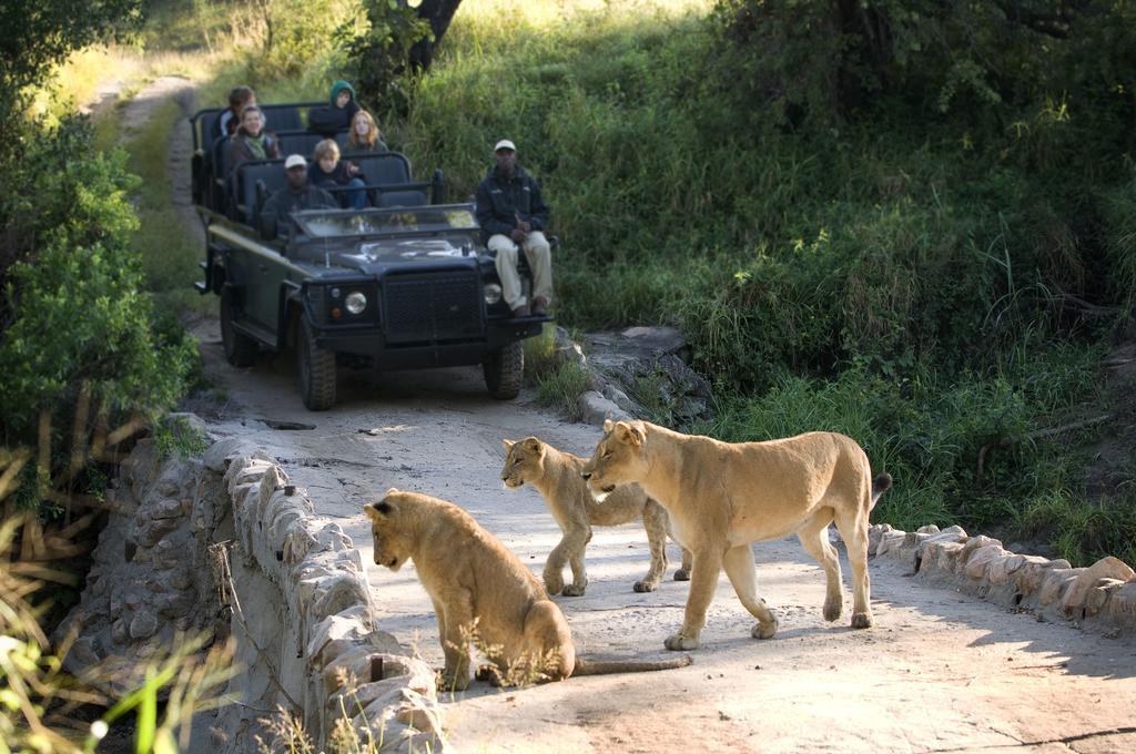 Lion Sands - Tinga Lodge スククザ エクステリア 写真